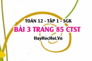 Bài 3 trang 85 Toán 12 tập 1 Chân trời sáng tạo